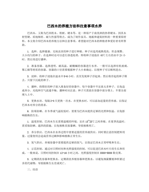 巴西木的养殖方法和注意事项水养