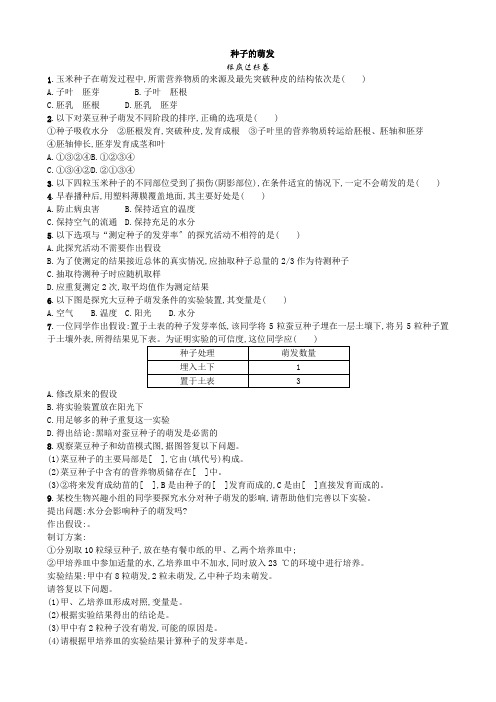 (新)人教版生物七上《3.2.1 种子的萌发》同步练习附答案