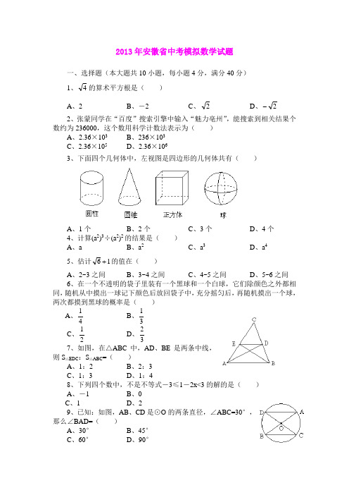 2013年安徽省中考模拟数学试题