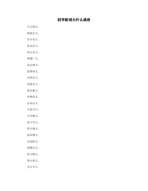 四字组词大什么成语