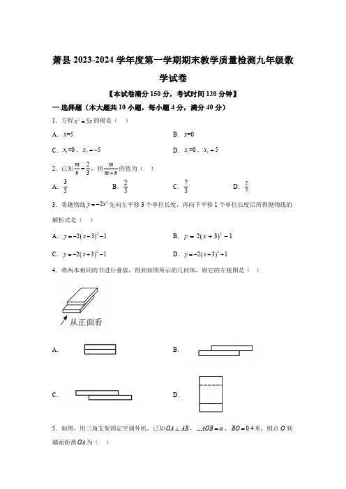 安徽省宿州市萧县2023-2024学年九年级上学期期末数学试题(含解析)