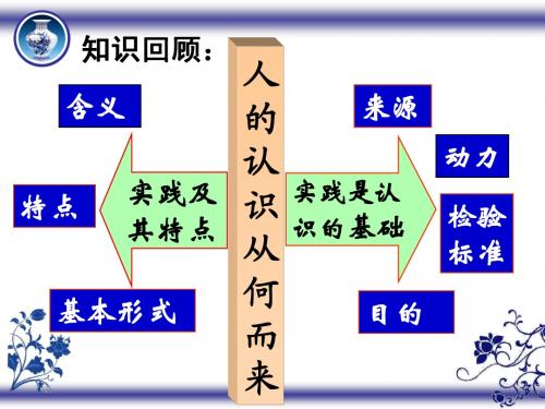 6.2在实践中追求和发展真理