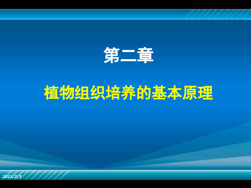 植物组织培养第二章植物组织培养的基本原理