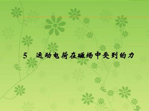 课堂设计14-15物理(人教版)选修3-1配套课件3.5运动电荷在磁场中受到的力