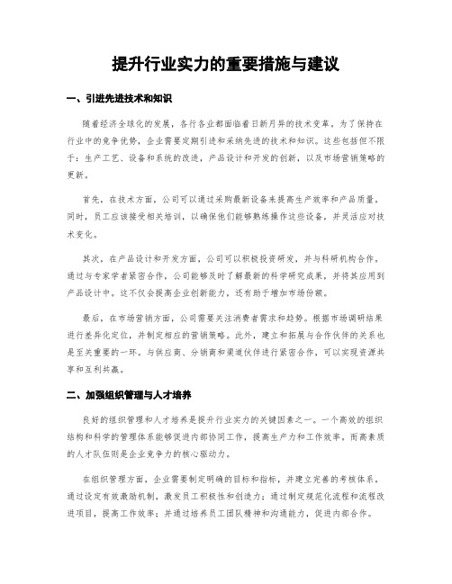 提升行业实力的重要措施与建议