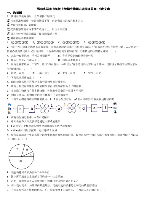 鄂尔多斯市七年级上学期生物期末试卷及答案-百度文库