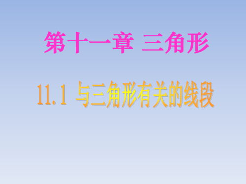 人教版八年级数学上册全套ppt课件