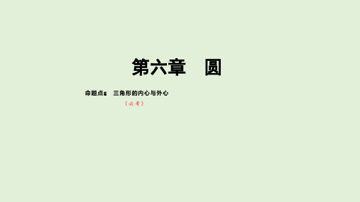 2021年河北省数学中考专题复习 三角形的内心与外心