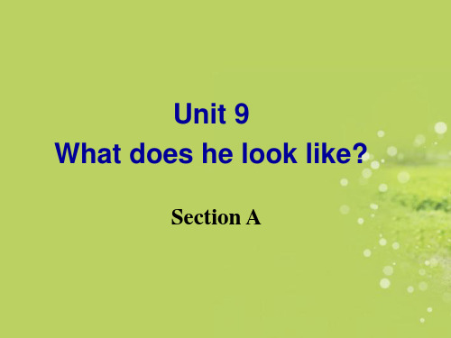 Unit9--what-does-he-look-like-全单元课件