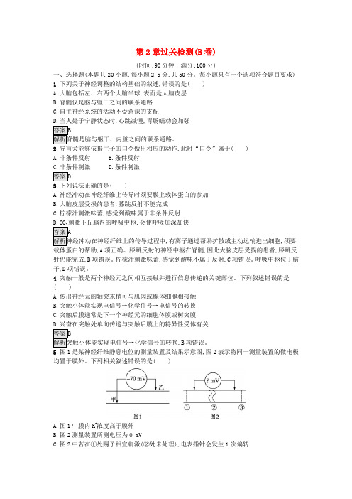 新教材2024年高中生物第2章神经调节过关检测B卷新人教版选择性必修1