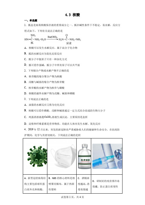 高中化学 核酸(含解析)