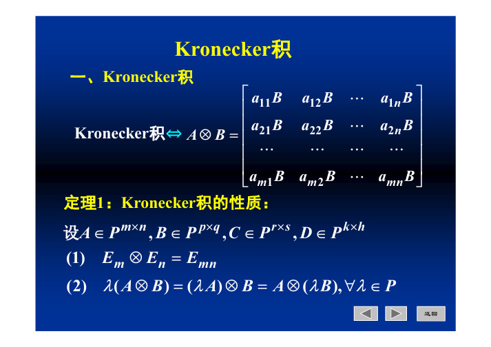 矩阵分析——Kronecker积