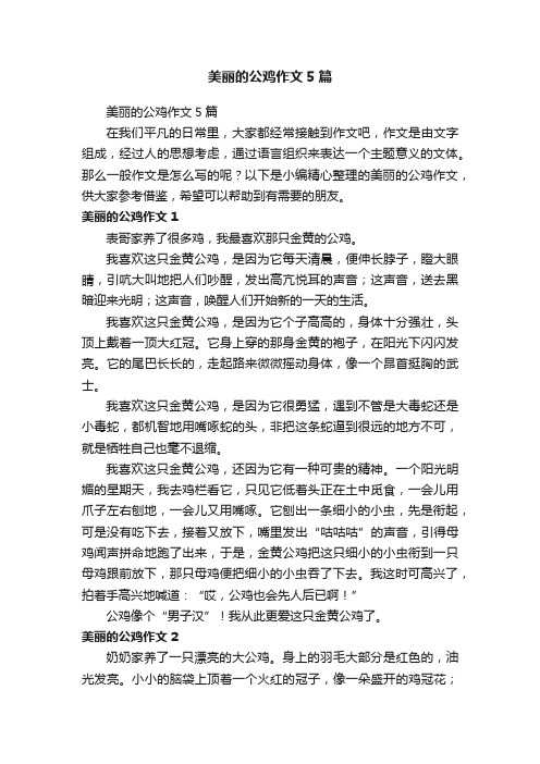 美丽的公鸡作文5篇