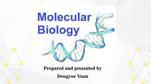 分子第五章原核基因表达调控