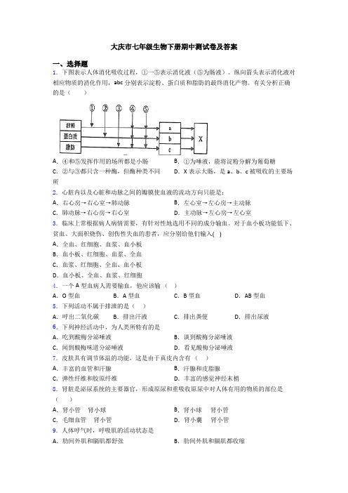 大庆市七年级生物下册期中测试卷及答案