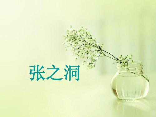 张之洞 简介