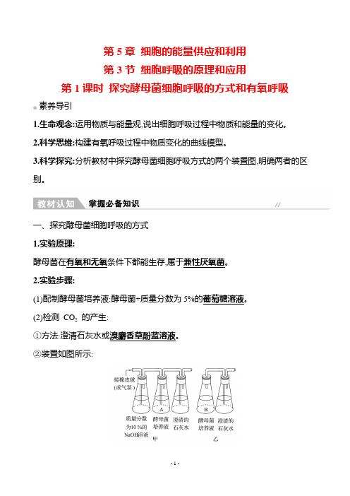 2022-2023学年  人教版 必修一 探究酵母菌细胞呼吸的方式和有氧呼吸 教案