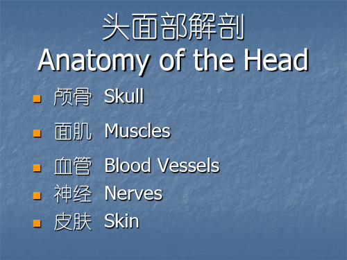 头面部解剖课件