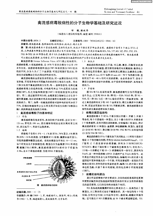 禽流感病毒致病性的分子生物学基础及研究近况