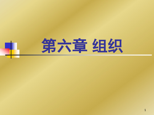 组织设计的基本原则概述