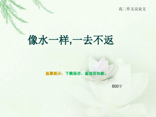 高二作文议论文《像水一样,一去不返》800字