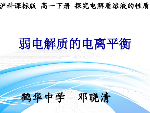 高一化学下《7探究电解质溶液的性质7.1电解质的电离弱电解质的电离平衡》190沪科课标PPT课件 一等奖