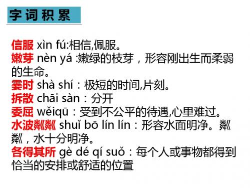 人教版语文七年级上册期中基础知识复习