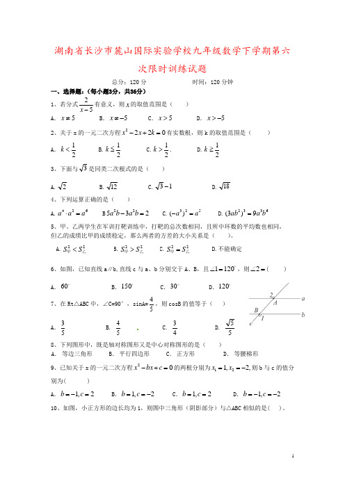 湖南省长沙市麓山国际实验学校九年级数学下学期第六次限时训练试题