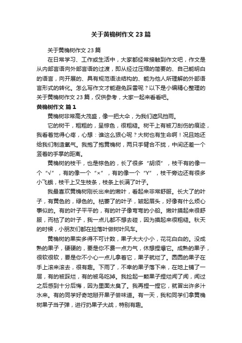 关于黄桷树作文23篇