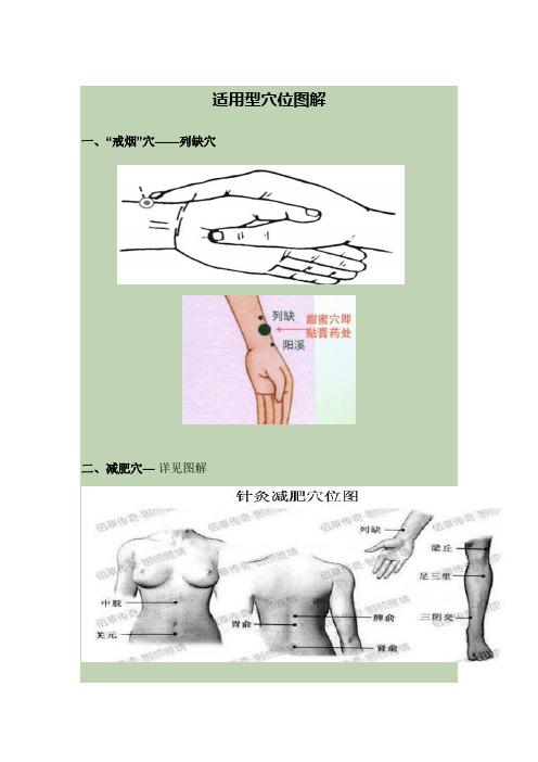 适用型穴位图解