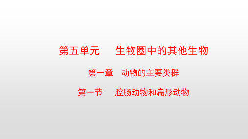 最新人教版八年级生物上册第五单元第一章动物的主要类群PPT