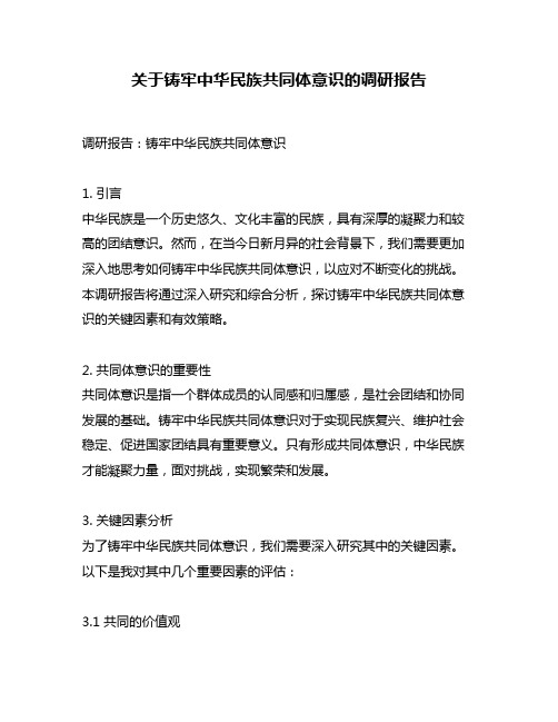 关于铸牢中华民族共同体意识的调研报告