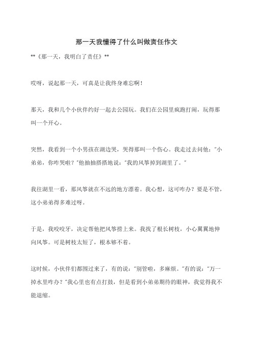 那一天我懂得了什么叫做责任作文