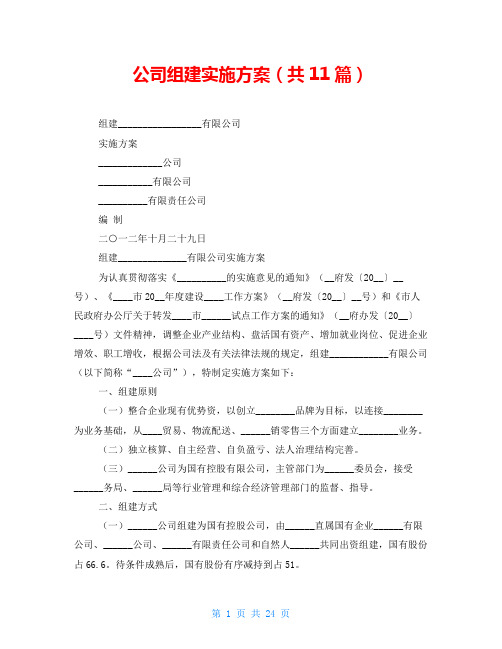 公司组建实施方案(共11篇)