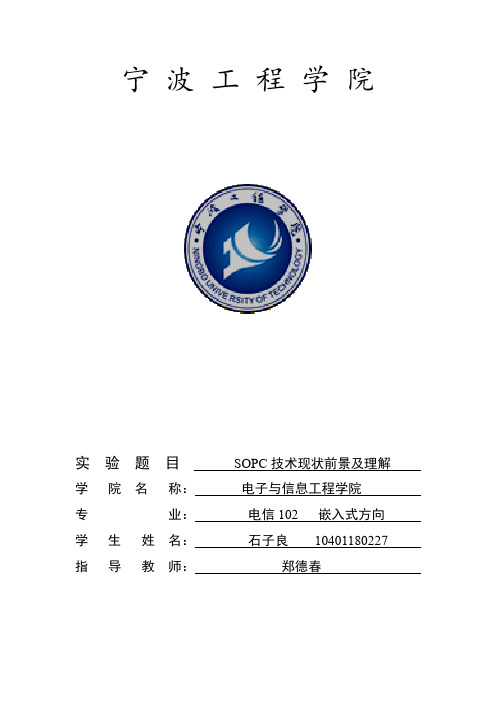 SOPC技术现状前景及理解(word文档良心出品)