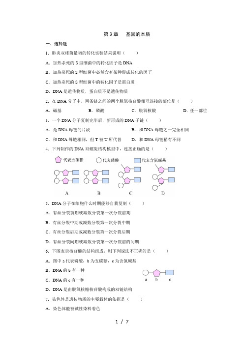 高中生物 必修二 基因的本质测试题及答案