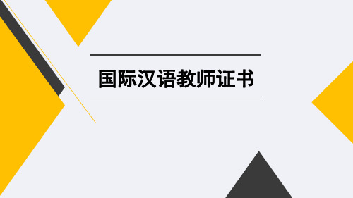 国际对外汉语教学(CTCSOL)教学组织和课堂管理(111页)