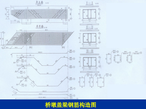 工程制图 桥梁墩台和盖梁施工图