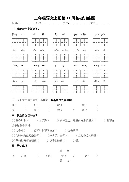 三年级上册语文第11周基础训练题- 部编版