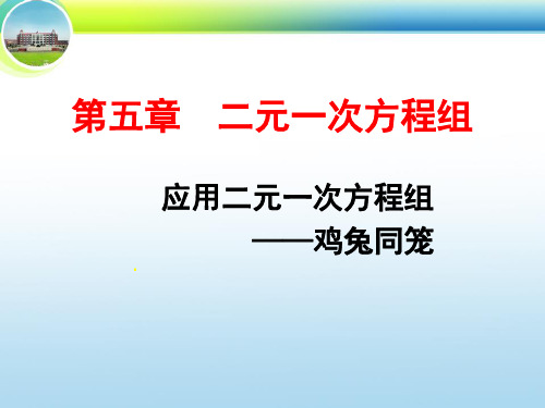 5.3应用二元一次方程组——鸡兔同笼