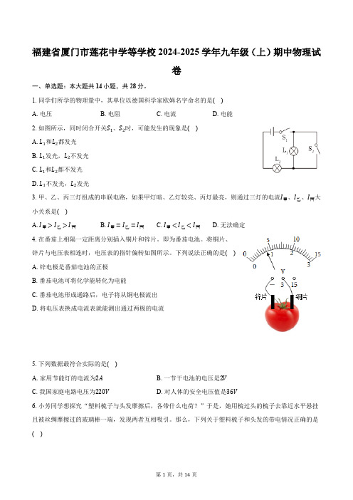 福建省厦门市莲花中学2024-2025学年九年级(上)期中物理试卷(含答案)