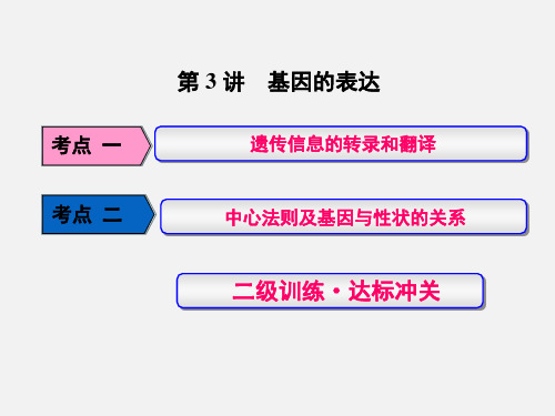 高考生物 一轮复习 基因的本质与表达 第3讲 基因的表达(必修2)