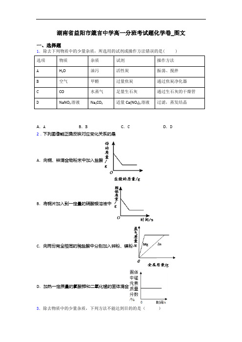 湖南省益阳市箴言中学高一分班考试题化学卷_图文