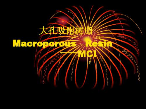 大孔吸附树脂Macroporous Resin