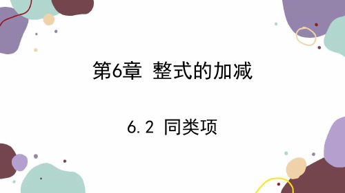 同类项课件-2024学年青岛版数学七年级上册