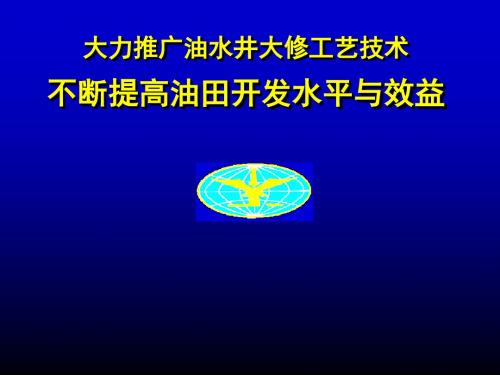 油水井大修工艺技术.