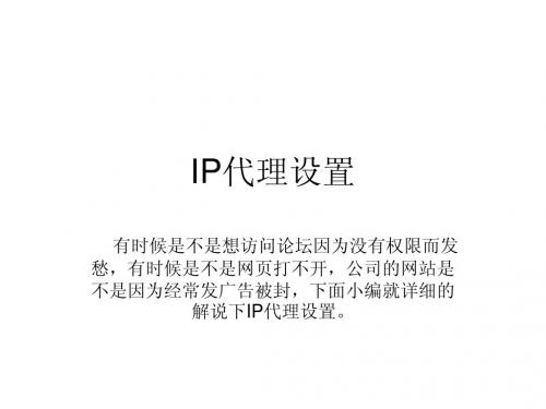 IP代理设置