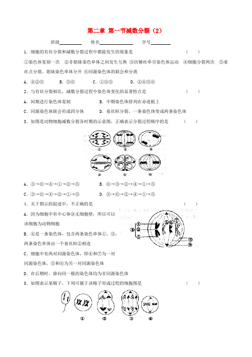 高中生物 2.1《减数分裂》第2课时作业 苏教版必修2