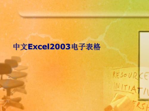 第4章Office2003办公软件(EXCEL)