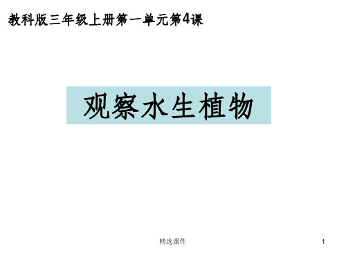 教科版科学三年级上册一4观察水生植物